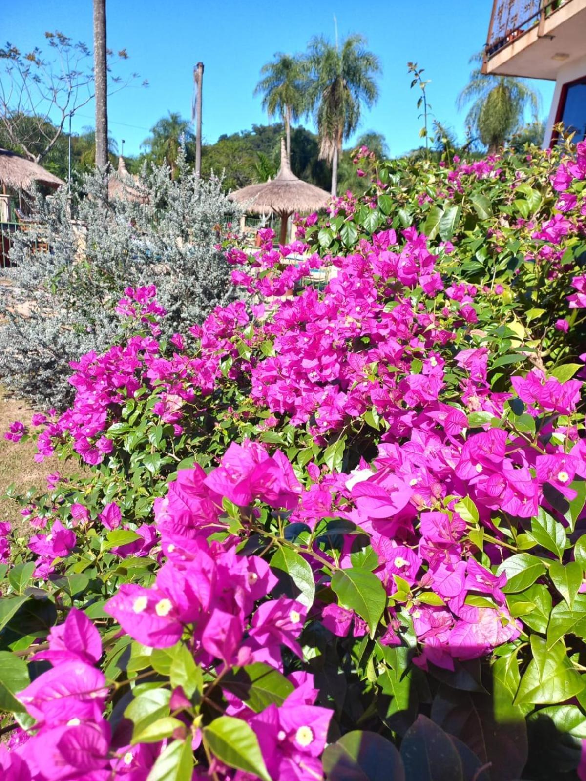 Resort Sport Independencia Eksteriør billede